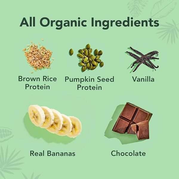 ALOHA Organic Plant Based Protein Bars - Banana Bread Chocolate Chip - 12 Count, 1.9oz Bars - Vegan Snacks, Low Sugar, Gluten-Free, Low Carb, Paleo, Non-GMO, Stevia-Free, No Sugar Alcohols - Image 3